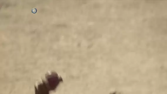 Axar Patel and Shahbaz Nadeem: An analytical study of two contrasting left-arm spinners