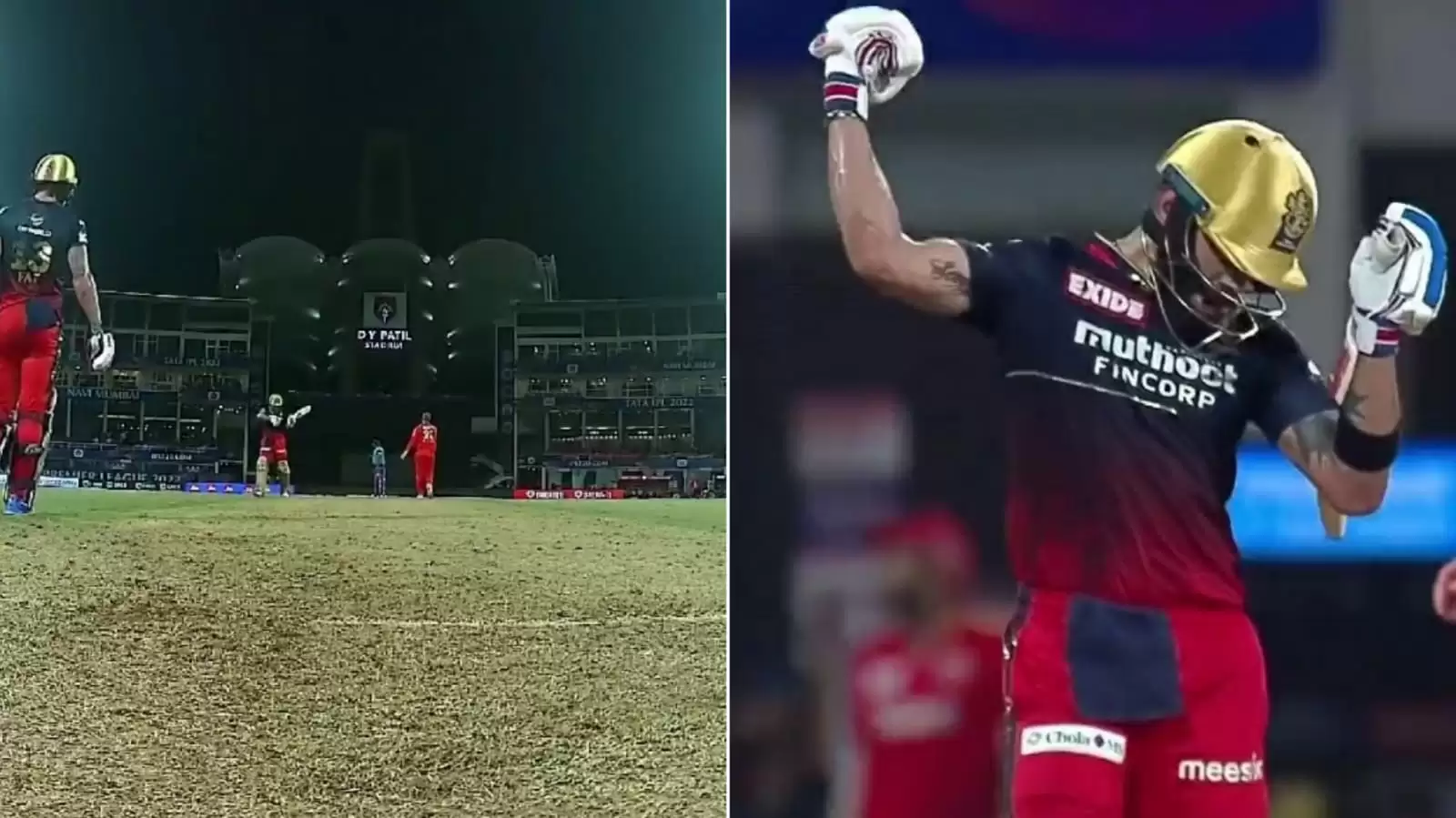 WATCH: Virat Kohli passionately celebrates Faf du Plessis thumping a six