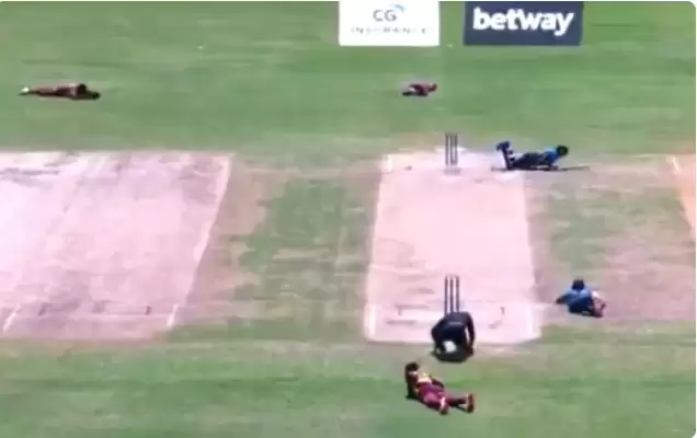 Swarm Of Bees Halts Play In West Indies Versus Sri Lanka 3rd ODI