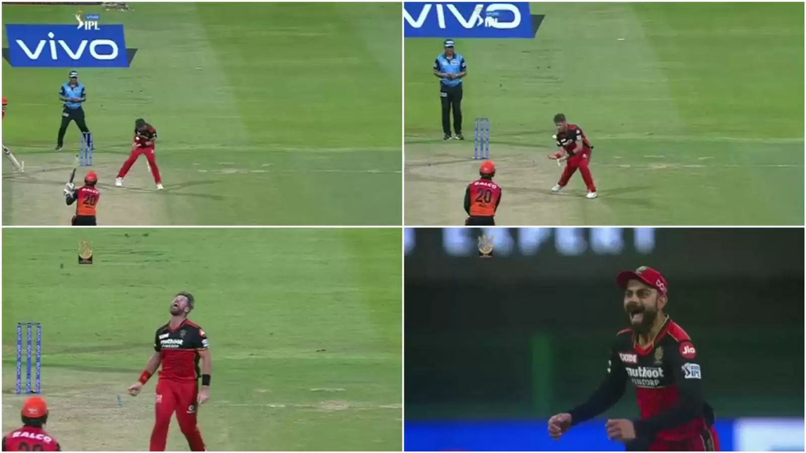 WATCH: Dan Christian takes eye-popping return catch to send back Jason Roy