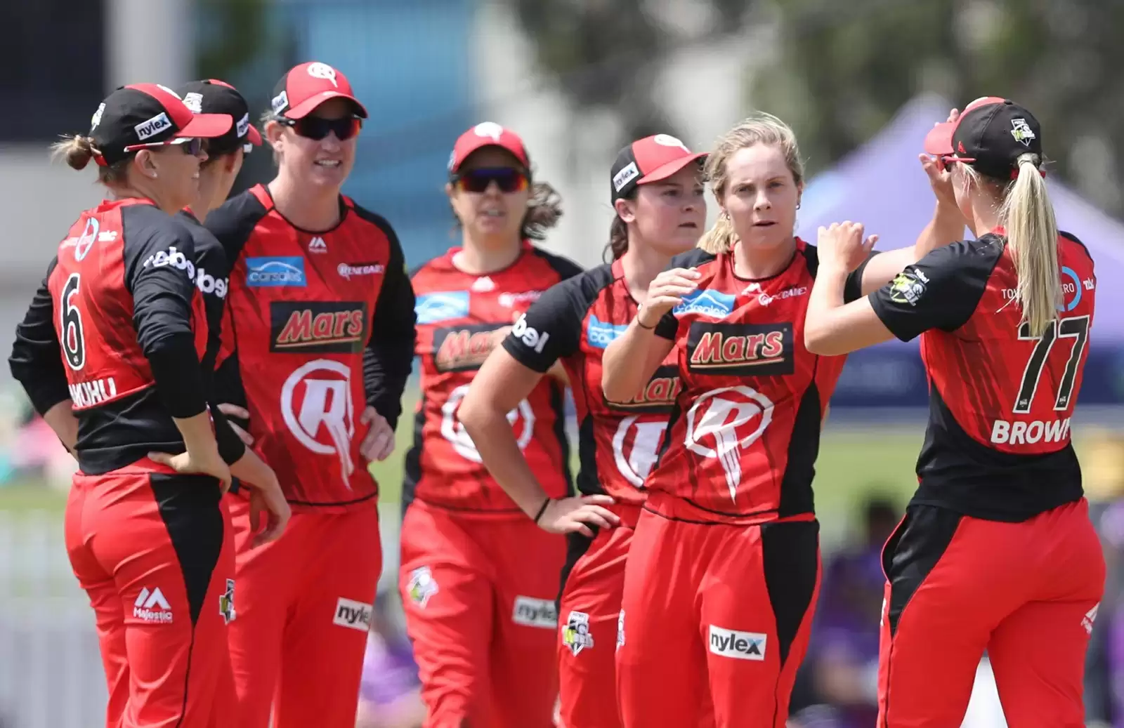 MRW vs MSW Dream11 Prediction, WBBL 2019, Match 50: Preview, Fantasy Cricket Tips, Playing XI, Pitch Report, Team and Weather Conditions