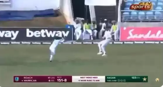 WATCH: Mohammad Rizwan pulls off a screamer; best-ever running catch by a keeper?
