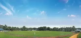ROY vs PAN Dream11 Prediction, Team, Playing XI Updates, Top Picks | Kodak Kerala T20 2021 Match Preview