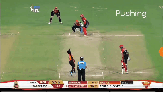How to play Rashid Khan?