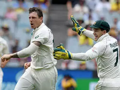 Tim Paine all praise for Australia’s teamwork