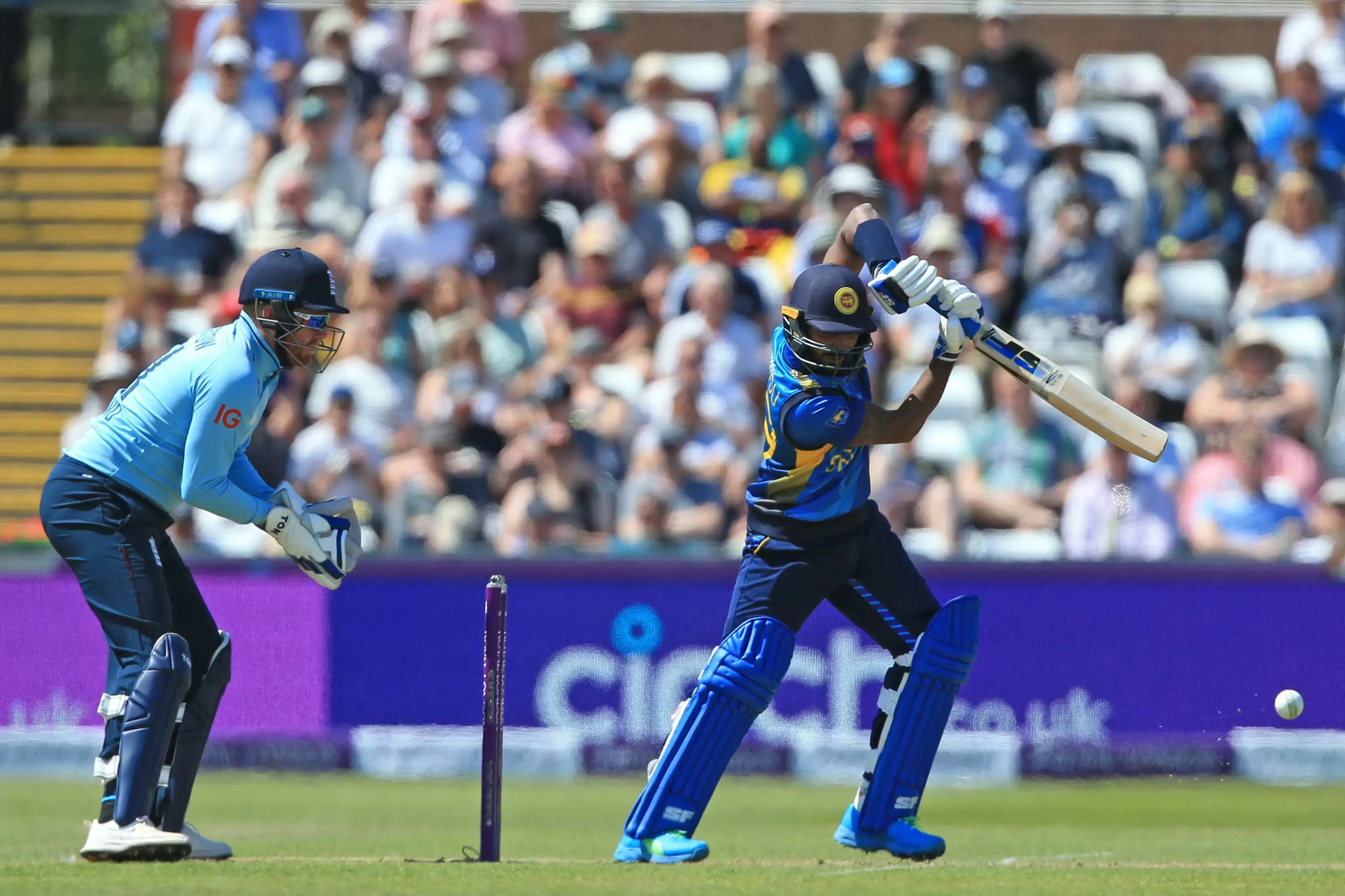 IPL 2021: Wanindu Hasaranga, Dushmantha Chameera, Tim David join RCB for UAE leg