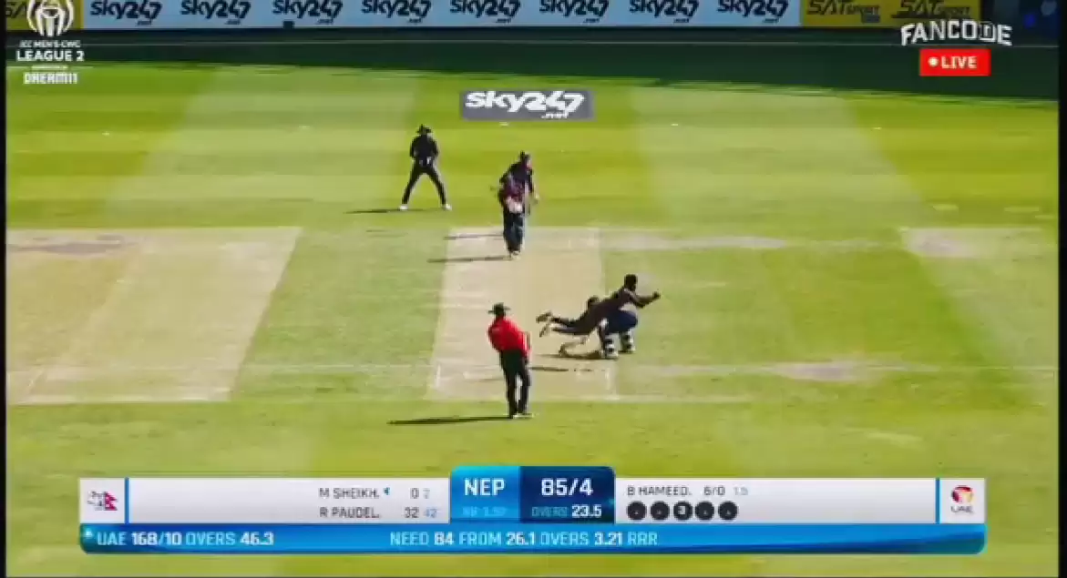 WATCH: UAE&rsquo;s Basil Hameed takes ridiculous return catch leaping outside the pitch across the non-striker