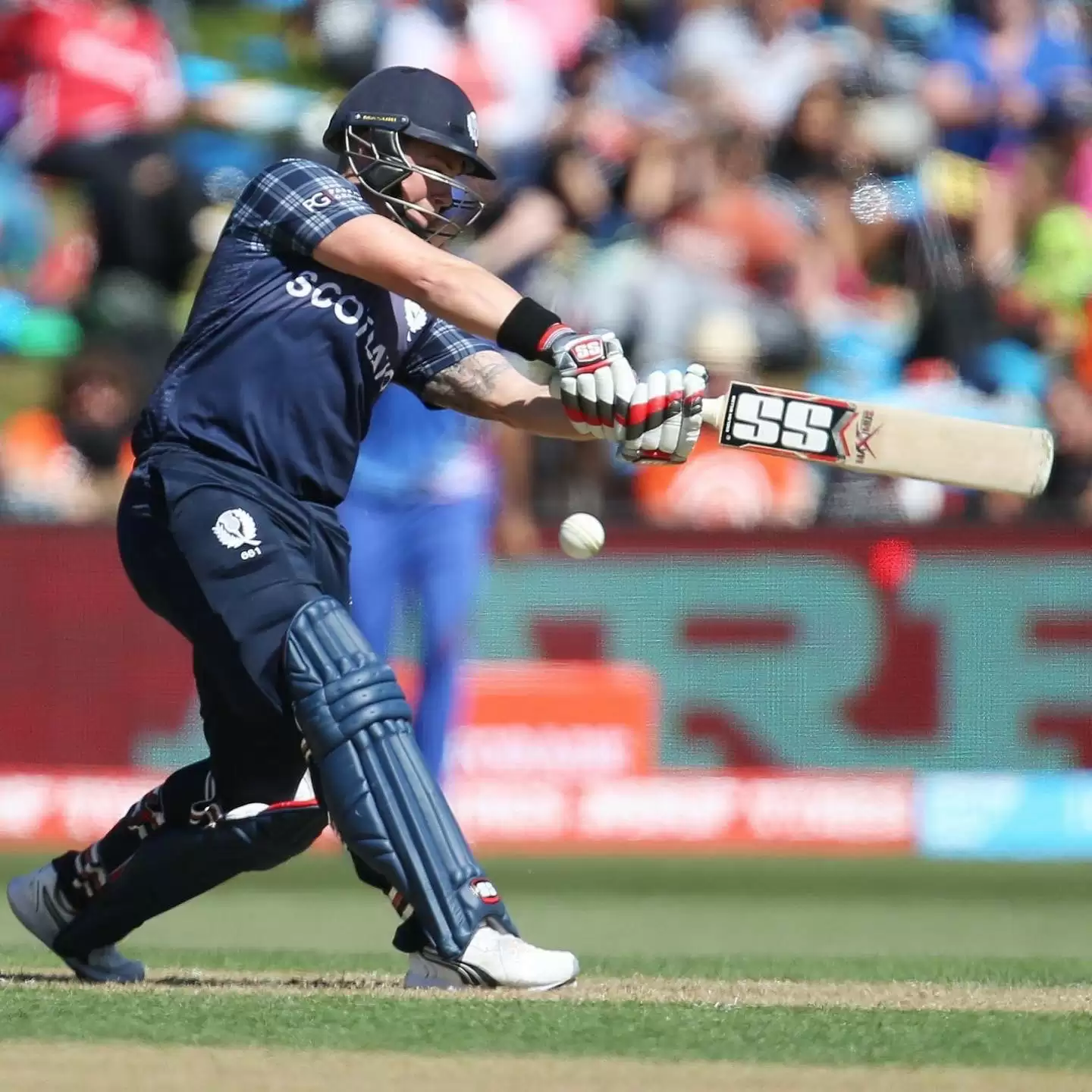 Former Scotland international Matt Machan, forced to retire at 26, launches bar in Bournemouth