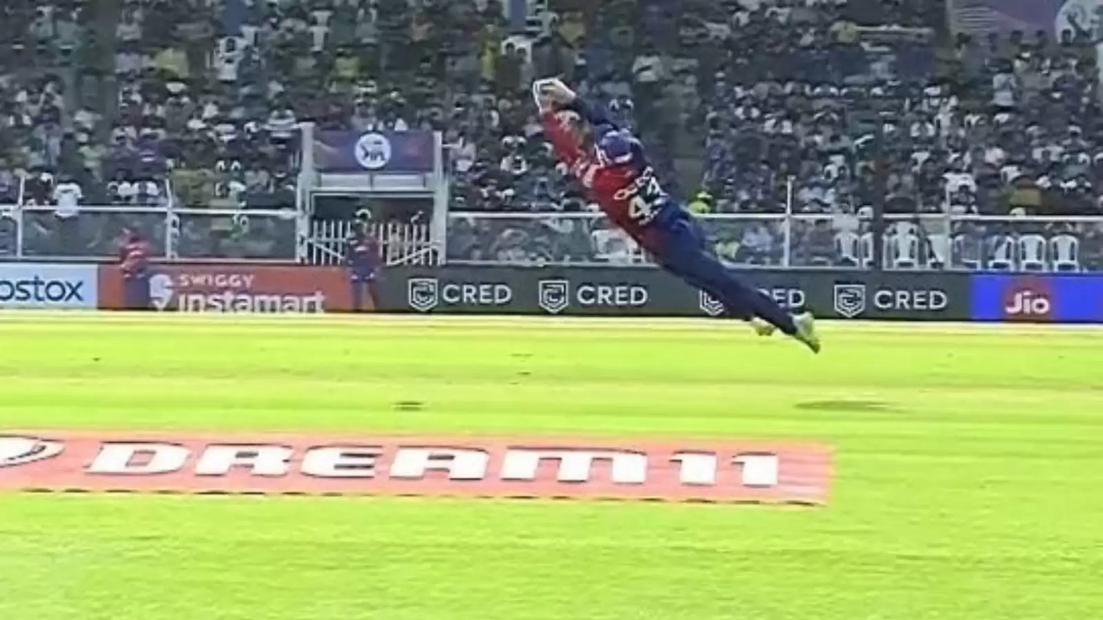 Watch: Tim Seifert pulls off thrilling grab in IPL 2022 for Delhi Capitals