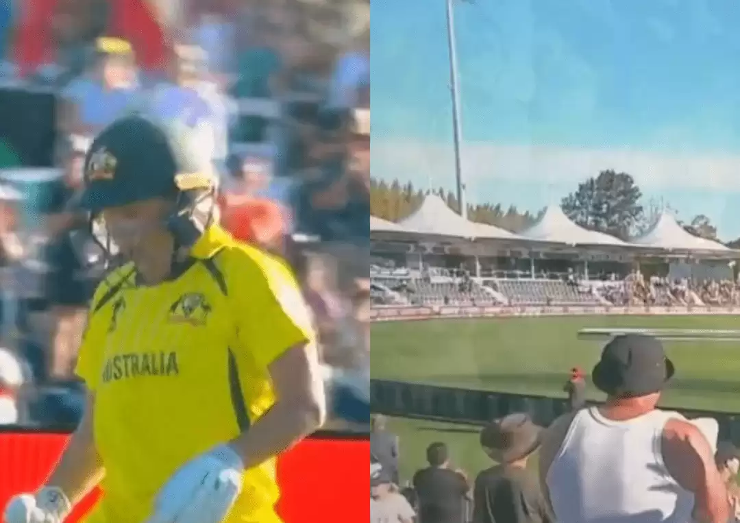 WATCH: Alyssa Healy walks back to a standing ovation after record 170* in World Cup final