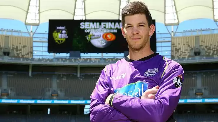 Tim Paine BBL